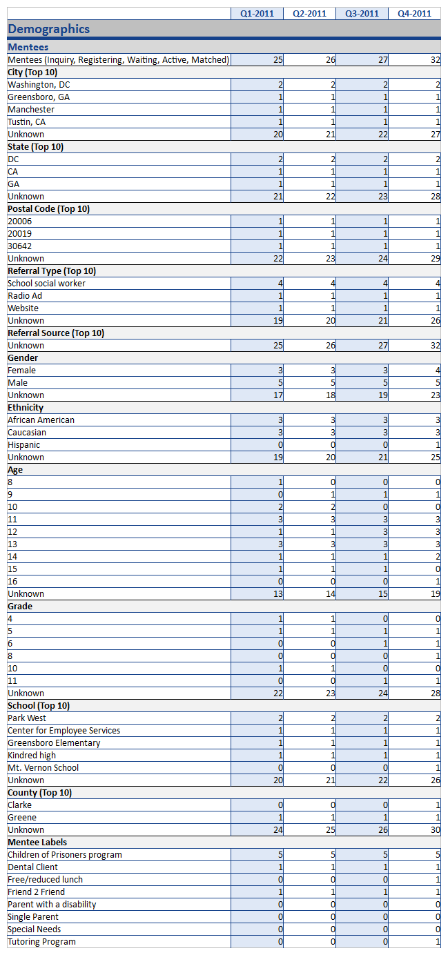 mentee demographics report